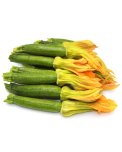 Semi di Zucchino Bolognese Bio