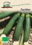 Semi di Zucchino di Milano Bio