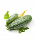 Semi di Zucchino Romanesco Bio