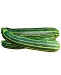 Semi di Zucchino San Pasquale Bio