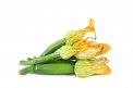 Semi di Zucchino San Pasquale Bio