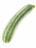 Semi di Zucchino Striato d'Italia Bio