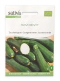 Semi di Zucchino Verde Black Beauty Bio