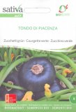 Semi di Zucchino Verde Tondo di Piacenza Bio
