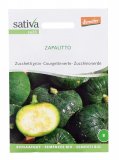 Semi di Zucchino Verde Zapalitto Bio