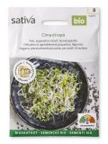 Semi per Germogli - Cime di Rapa