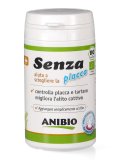 Senza Placca per Cani e Gatti