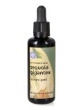 Sequoia Gigante Gemmoderivato - Giovani Getti
