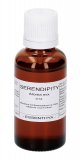 Serendipity - Miscela di Oli Essenziali - 30 ml