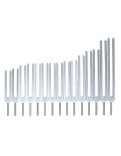 Set di Diapason Organi Umani