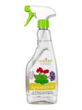 Sgrassatore Ecologico Fiori di Vallata