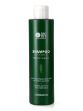 Shampoo Anticaduta