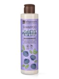 Shampoo Antiossidante - Mirtillo bio e Arginina