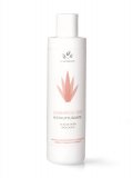 Shampoo Bio Ristrutturante