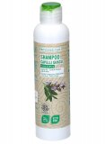 Shampoo per Capelli Grassi e con Forfora Eco-Bio - Salvia e Ortica