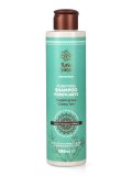 Shampoo Purificante Capelli Grassi