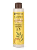 Shampoo Riequilibrante Salvia Bio e Limone