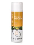 Shampoo Riequilibriante Canapa e Tea Tree