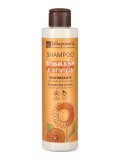 Shampoo Rinforzante Girasole Bio e Arancio