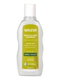 Shampoo Trattante Miglio