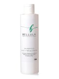 Shampoo Uso Frequente