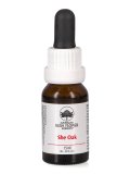 She Oak - Essenza Floreale Australiana Singola