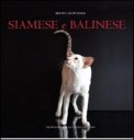 Siamese e Balinese — Libro