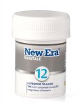 Silica - New Era 12
