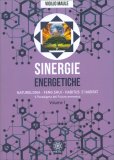 Sinergie Energetiche — Libro
