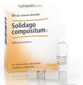Solidago Compositum S Heel 10 Fiale