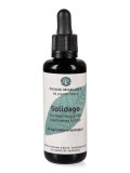 Solidago - Estratto Idroalcolico