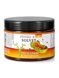 Solvet