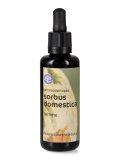 Sorbus Domestica - Gemmoderivato - Gemme