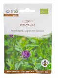 Semi di Sovescio Erba Medica