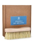 Spazzola a Secco