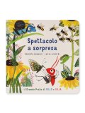 Spettacolo a Sorpresa — Libro