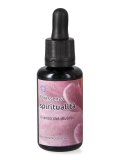 Spiritualità - Floressenza