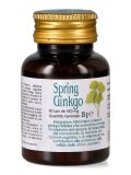 Spring Ginkgo