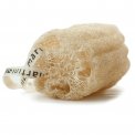 Spugna Corpo Loofah Vegetale