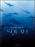 Squali