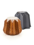 Stampo TPlusX Antiaderente Pandoro Verona