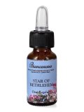 Star of Bethlehem - Fiori di Bach