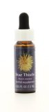 Star Thistle - Fiori californiani