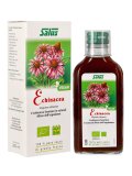 Succo di Echinacea - Senza Alcool