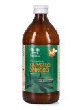 Succo di Olivello Spinoso Bio – Puro al 100%