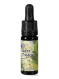 Sweet Chestnut - Dose