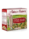 Tartine Tostate all'Avena Bio