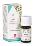 Thuja Olio Essenziale