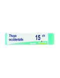 Thuya Occidentalis 15CH Globuli Monodose Boiron