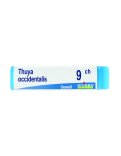 Thuya Occidentalis 9CH Globuli Monodose Boiron
